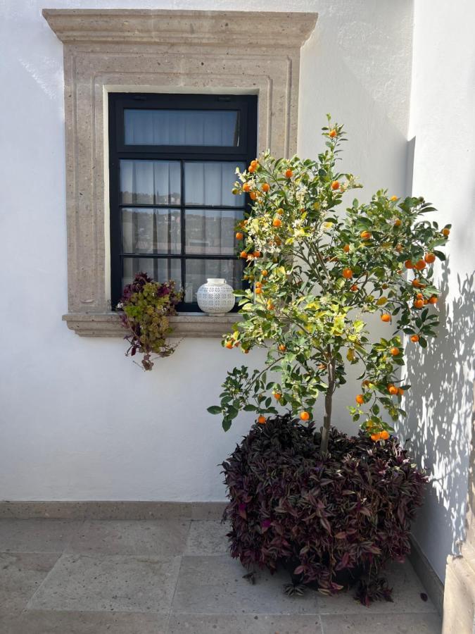 Casa Laní Luxury B&B San Miguel de Allende Exterior foto